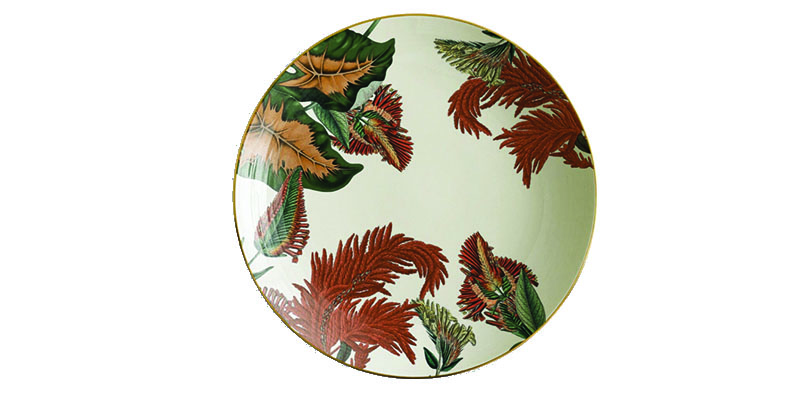 ANIMALIA SOUP PLATE #6 by Vito Nesta